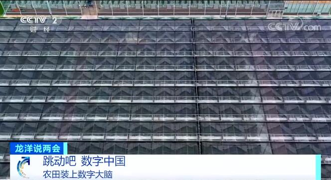 1646705936736633.jpg 21.jpg