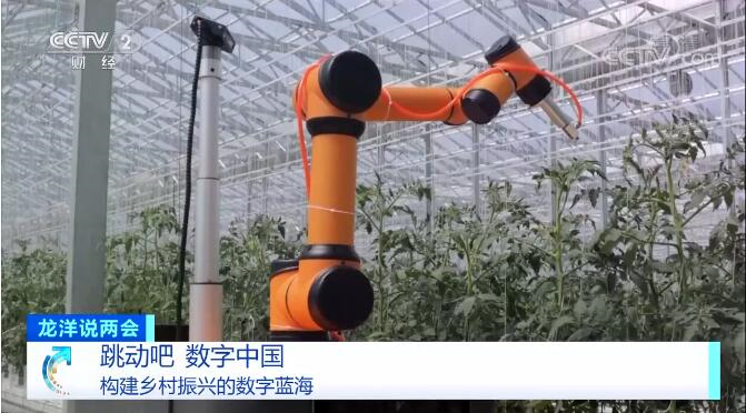 1646705962258724.jpg 23.jpg