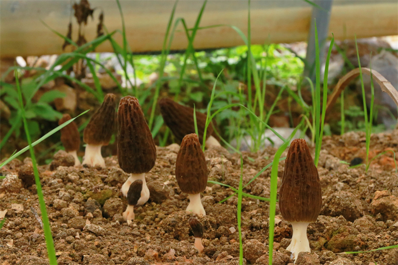 1653188589294615.jpg 微信图片_20220522110025_副本.jpg