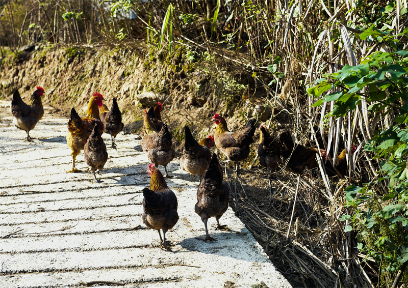 1653188623625066.jpg 微信图片_20220522110030_副本.jpg