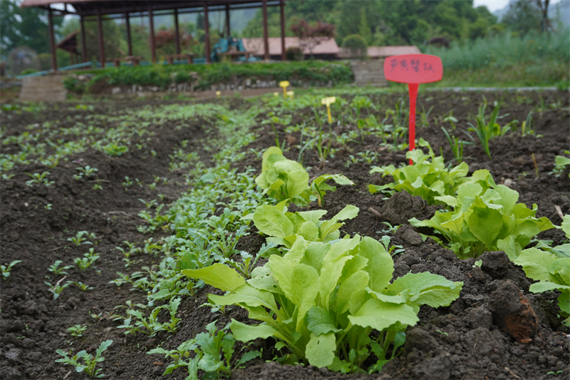 1653272943773121.jpg 微信图片_20220523102700.jpg