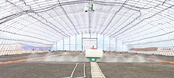 1676603376723554.jpg 2-2.jpg