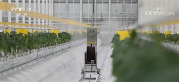 1676603411889942.jpg 2-4.jpg