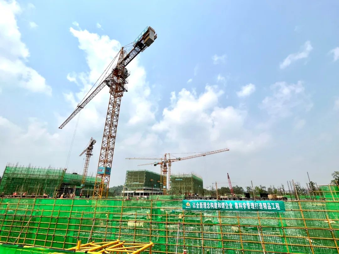 1682056439214920.jpg B8.jpg