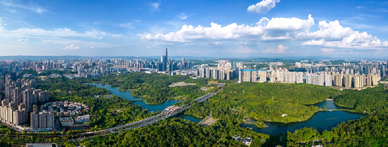 1684572035339117.jpg A1.jpg