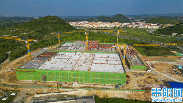 1685008150830741.jpg 3.jpg