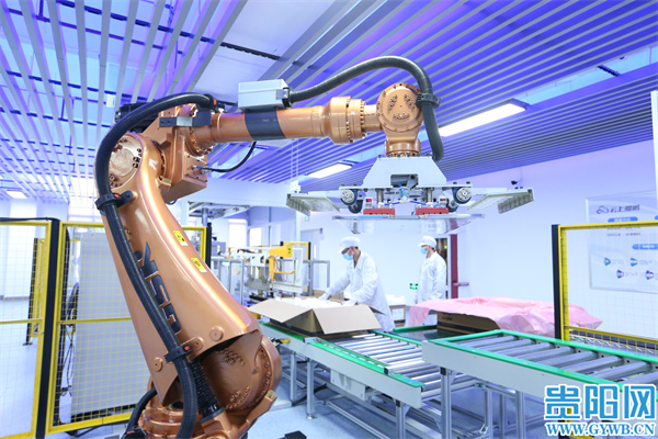 1685008168192937.jpg 4.jpg