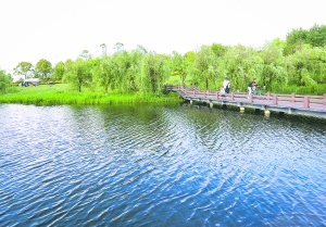 1686725129932543.jpg gyrb5462123b003.jpg