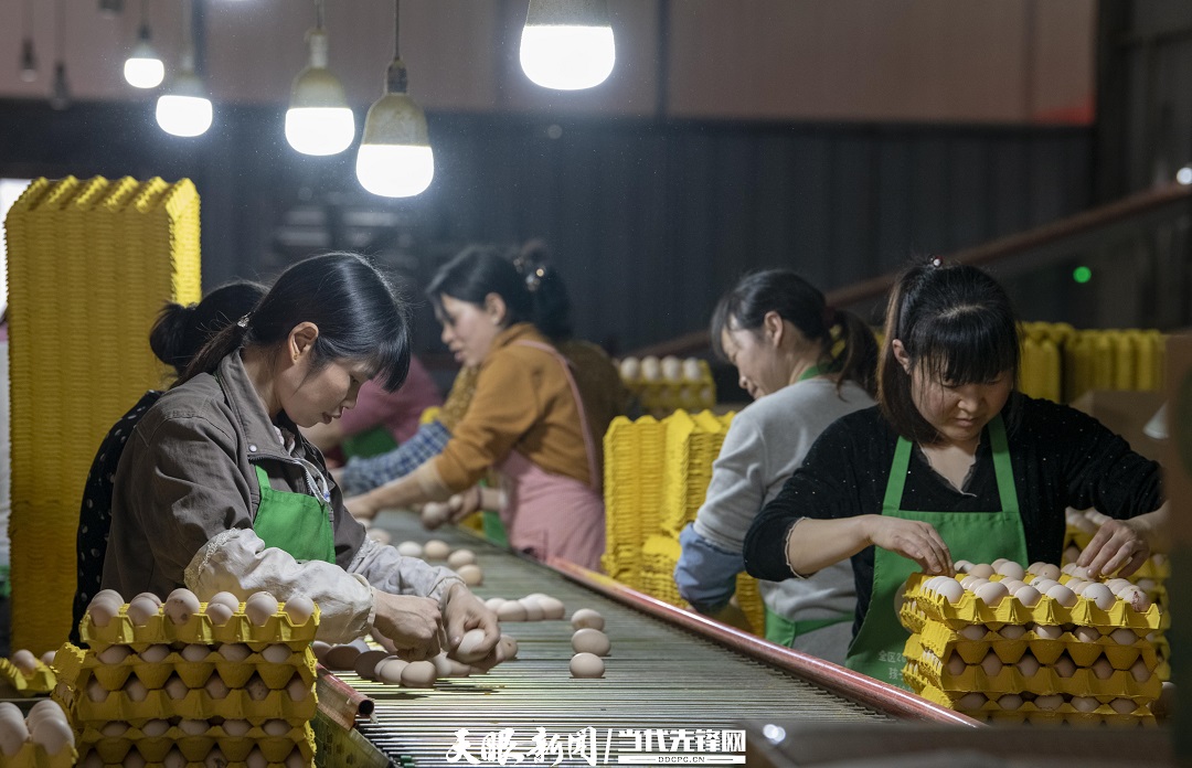 1689582821644321.jpg A3.jpg