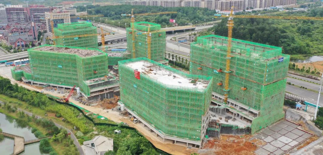 1690268195506480.jpg 2.jpg