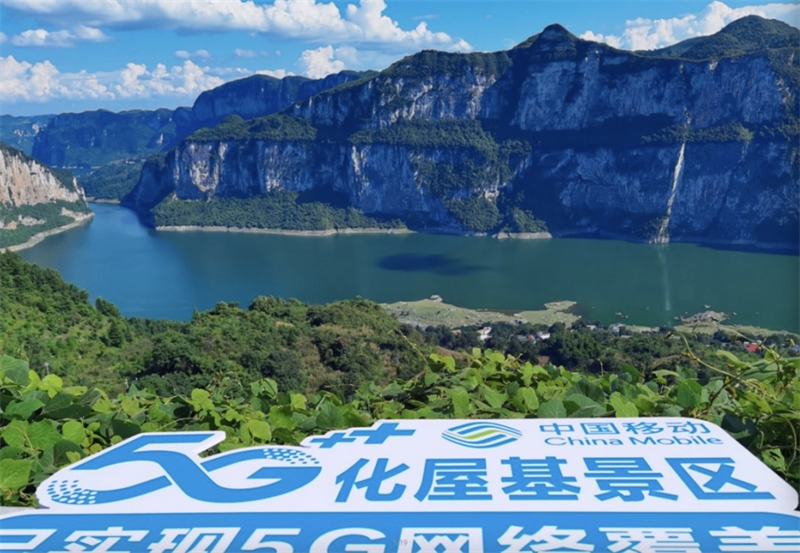 1697523553291307.jpeg 20231017_140352_000.jpeg